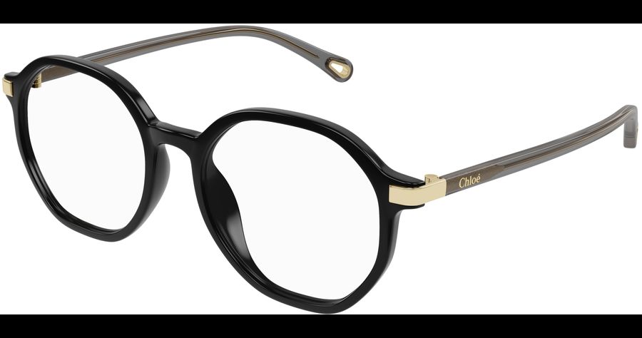  Chloé CH0249OA 53 001 Ansicht 1