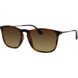 SunRay Sonnenbrille Herren SunRay 06-47230-01, Havanna matt/Grau