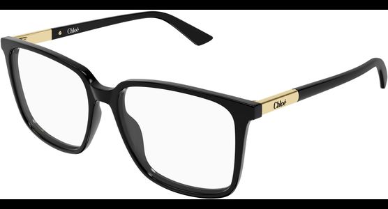 Chloé CH0369O 55 001 - Ansicht 2