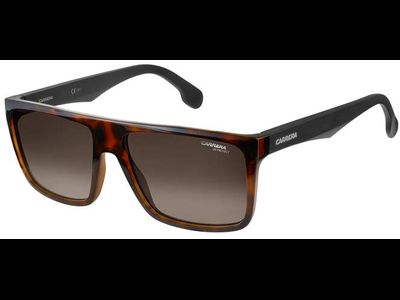 Carrera Sonnenbrille Herren Carrera CARRERA 5039/S 58 havanna Ansicht 3