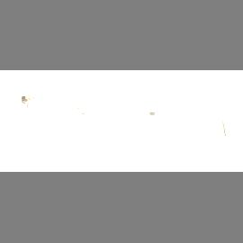 FRAIMS Brille Damen FRAIMS 03-97010-01 Kim, Ingwer