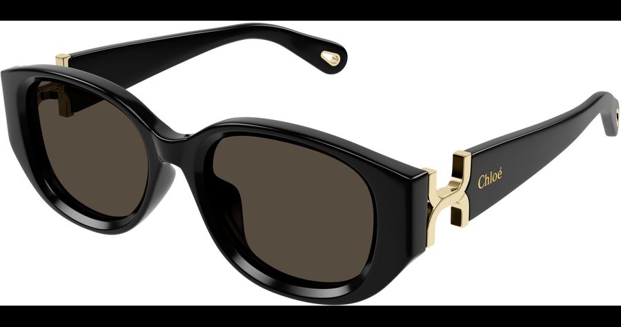  Chloé CH0237SK 54 001 Ansicht 1