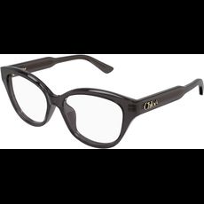  Chloé CH0381OL 54 006