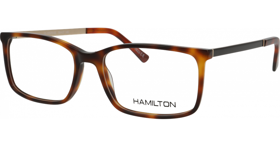 Hamilton Brille Herren Hamilton 01-20570-02 5617 Ansicht 1