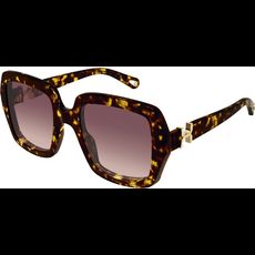  Chloé CH0301S 52 002