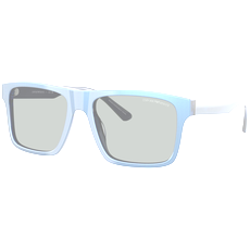 Emporio Armani Sonnenbrille Herren Emporio Armani EA4232 617587 57