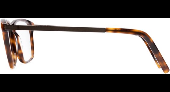 FRAIMS 03-97270-02 Eric, Dunkel Havanna/Braun Matt - Ansicht 4