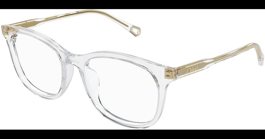  Chloé CH0314OA 54 004 Ansicht 1