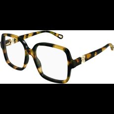  Chloé CH0335O 54 002
