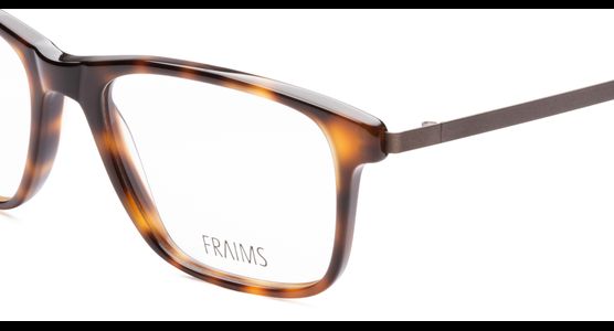 FRAIMS 03-97270-02 Eric, Dunkel Havanna/Braun Matt - Ansicht 6