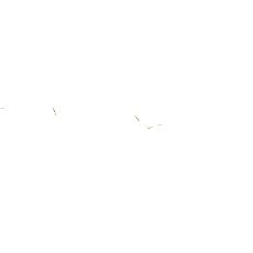 Hugo Boss Brille Damen Hugo Boss 1530 50 0