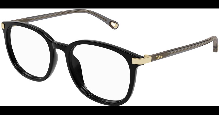  Chloé CH0247OA 54 001 Ansicht 1