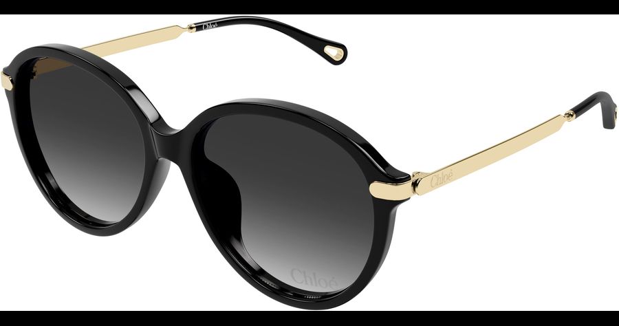 Chloé CH0358SK 59 001 Ansicht 1