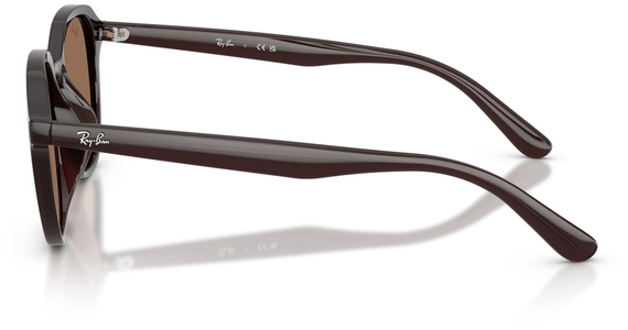 Ray-Ban RB4459D 623173 - Ansicht 4