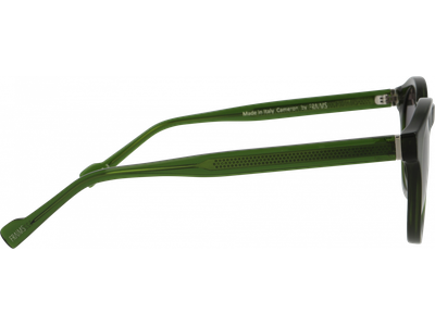 FRAIMS Sun Sonnenbrille Unisex FRAIMS 13-48030-02 Cameron, dunkelgrün transparent Ansicht 3