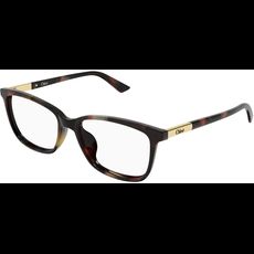  Chloé CH0371OA 55 002