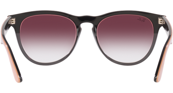Ray-Ban Iris RB4471 66338H - Ansicht 7