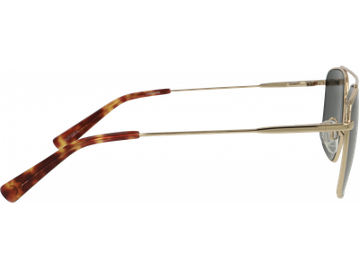 meineBrille Sonnenbrille Herren meineBrille 14-46110-01 Ansicht 3