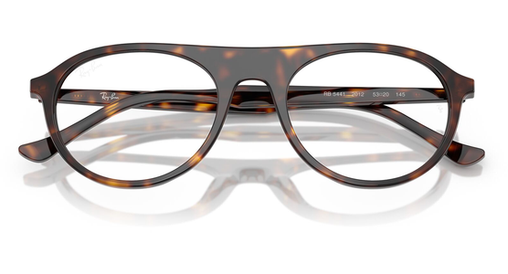 Ray-Ban RX5441 2012 - Ansicht 6