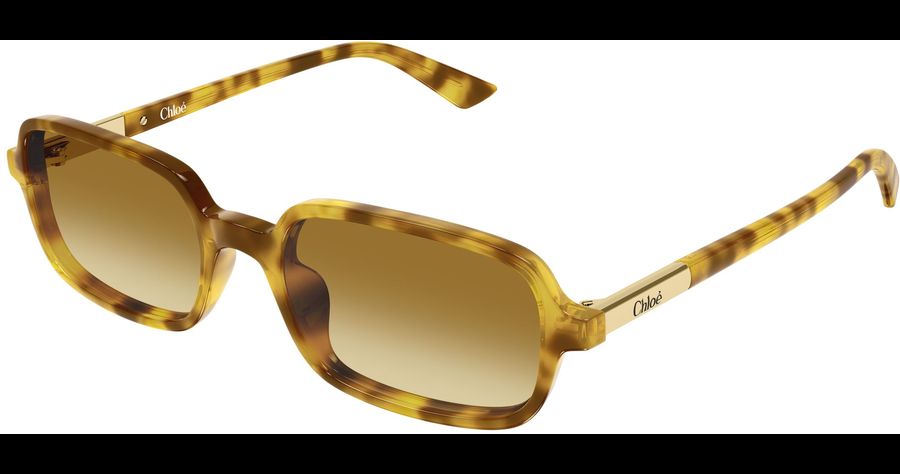  Chloé CH0363S 53 004 Ansicht 1