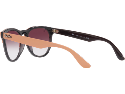 Ray-Ban Sonnenbrille Unisex Ray-Ban Iris RB4471 66338H Ansicht 4