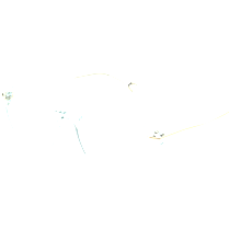 Chloé Brille Damen Chloé CH0217OA 003