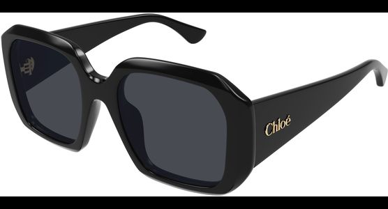 Chloé CH0300S 54 001 - Ansicht 2