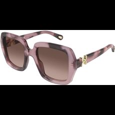  Chloé CH0301S 52 007