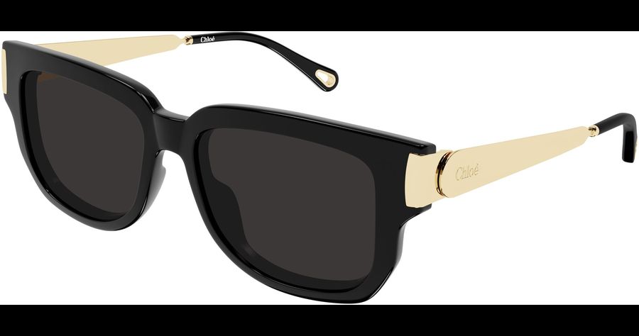  Chloé CH0351S 54 001 Ansicht 1