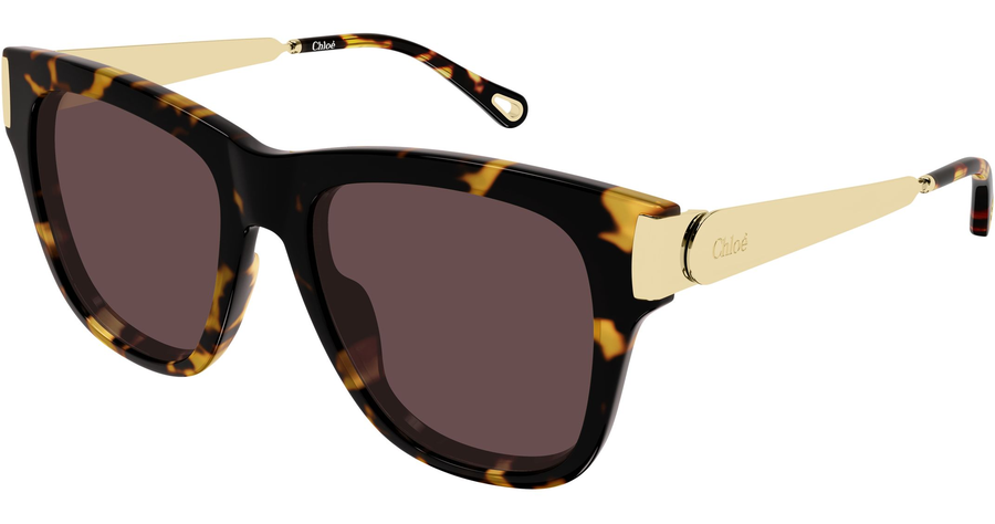  Chloé CH0349S 54 003 Ansicht 1