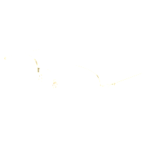 Gucci Brille Damen Gucci GG1197OA 56 002