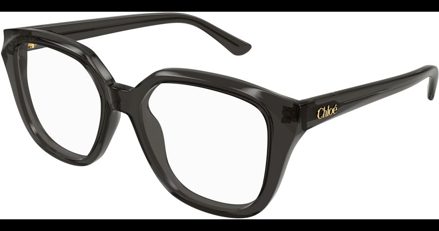  Chloé CH0293O 53 001 Ansicht 1