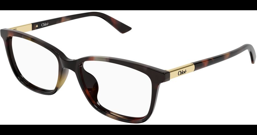  Chloé CH0371OA 55 002 Ansicht 1