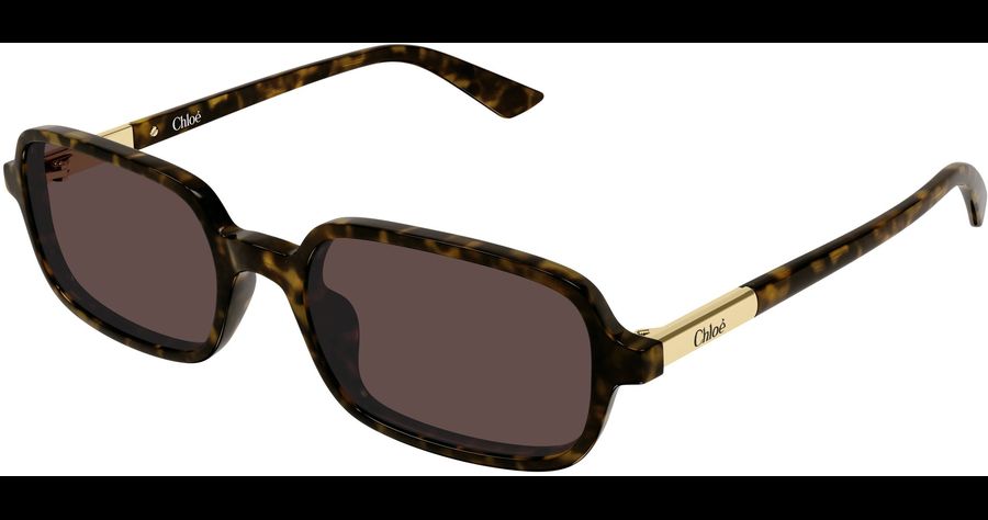  Chloé CH0363S 53 002 Ansicht 1