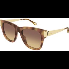  Chloé CH0349S 54 002