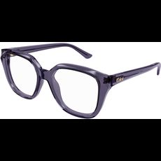  Chloé CH0293O 53 004