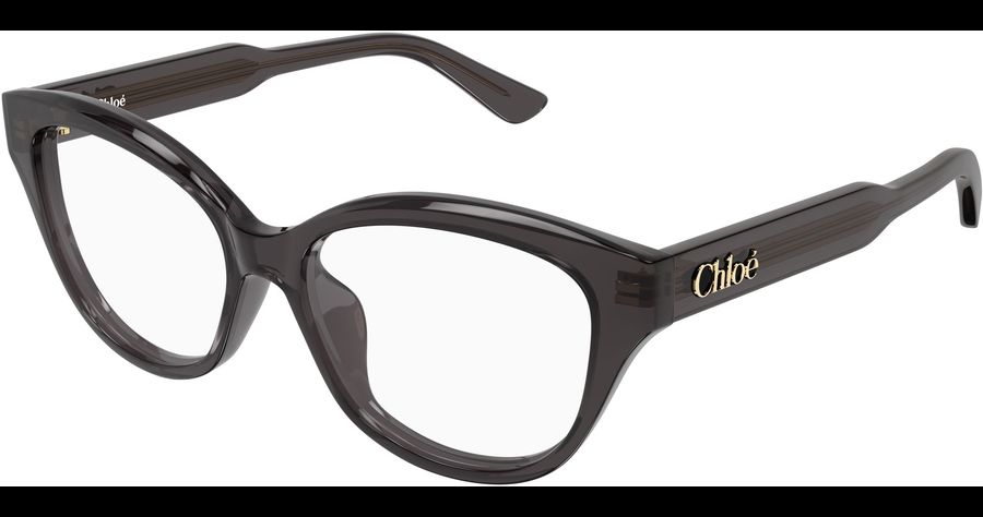  Chloé CH0381OL 54 006 Ansicht 1