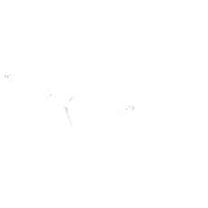 Saint Laurent Brille Herren Saint Laurent SL 623 OPT 49 004