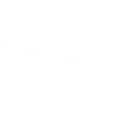 Saint Laurent Brille Unisex Saint Laurent SL 726/F 53 003