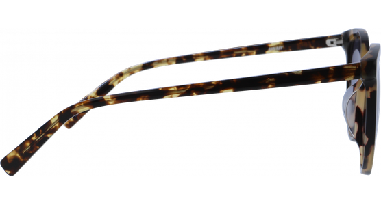 SunRay 06-10160-03 - Ansicht 4