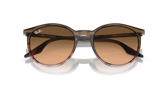 Ray-Ban RB2204 13953B - Ansicht 6