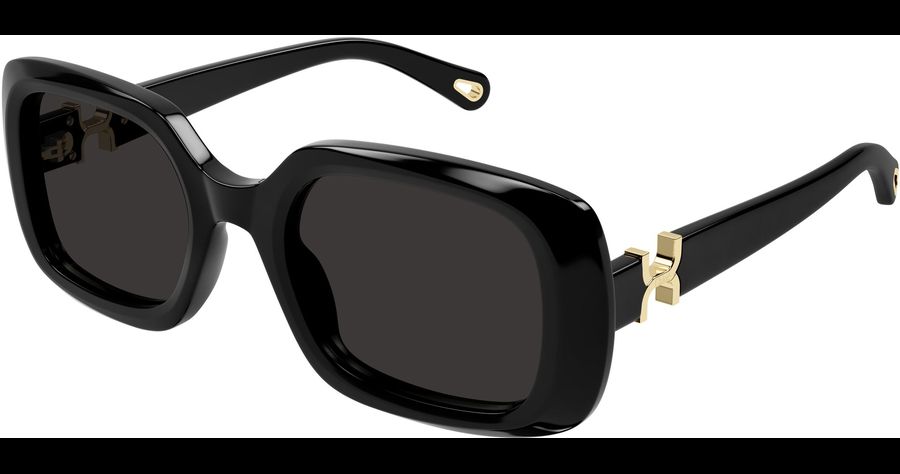  Chloé CH0333S 53 001 Ansicht 1