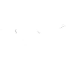 Hugo Boss Brille Damen HUGO BOSS BOSS 1398 