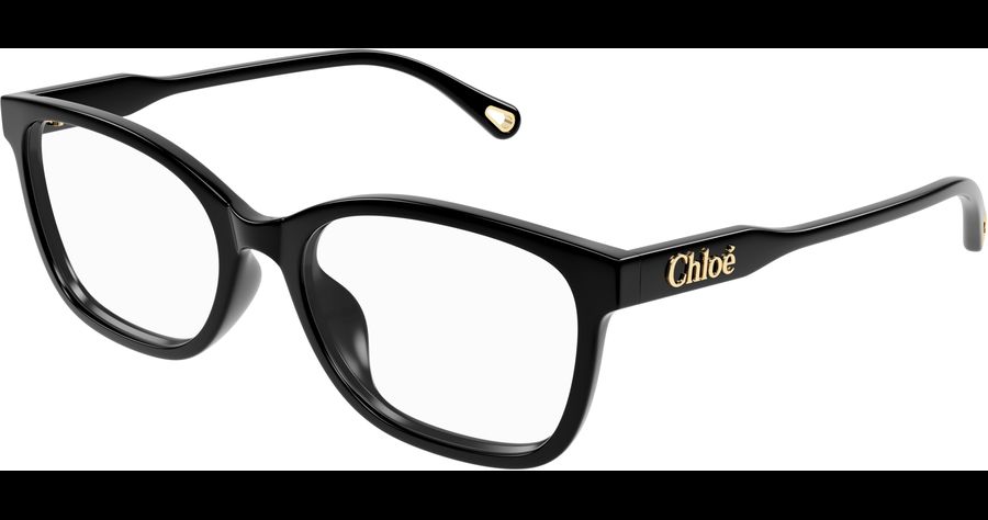  Chloé CH0276OA 54 001 Ansicht 1