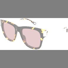  Chloé CH0349S 54 003