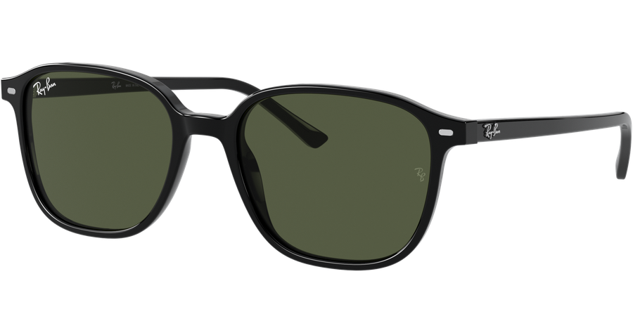 Ray-Ban Sonnenbrille Unisex Ray-Ban Leonard RB2193 901/31 53 Ansicht 1