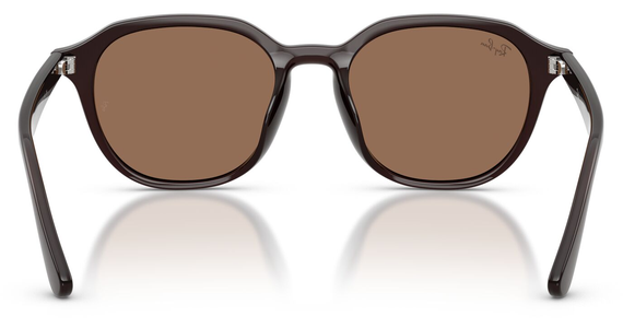 Ray-Ban RB4459D 623173 - Ansicht 5