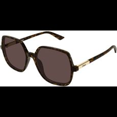  Chloé CH0362S 55 002