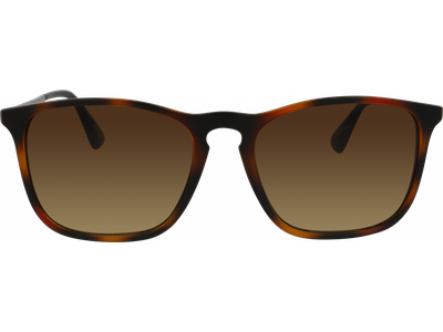 SunRay Sonnenbrille Herren SunRay 06-47230-01, Havanna matt/Grau Ansicht 4
