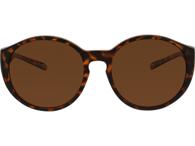 SunRay Sonnenbrille Unisex Sunray Pola Überbrille 06-57430-03 Ansicht 2